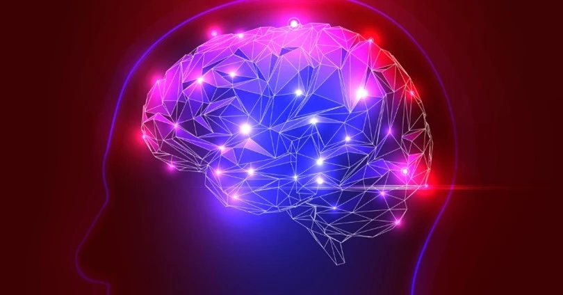 conitif brain
