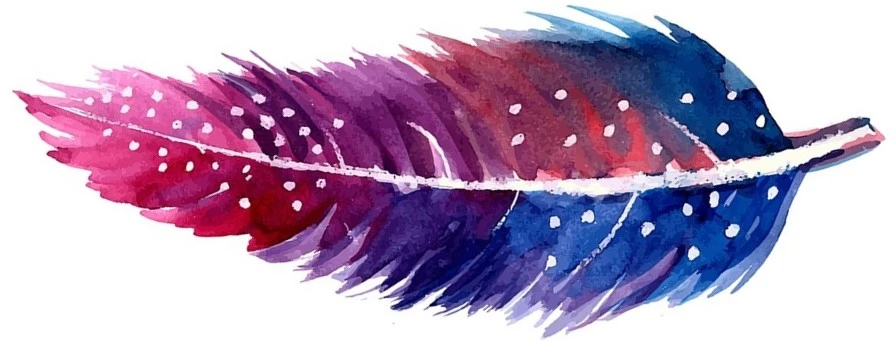 plume_fin_section